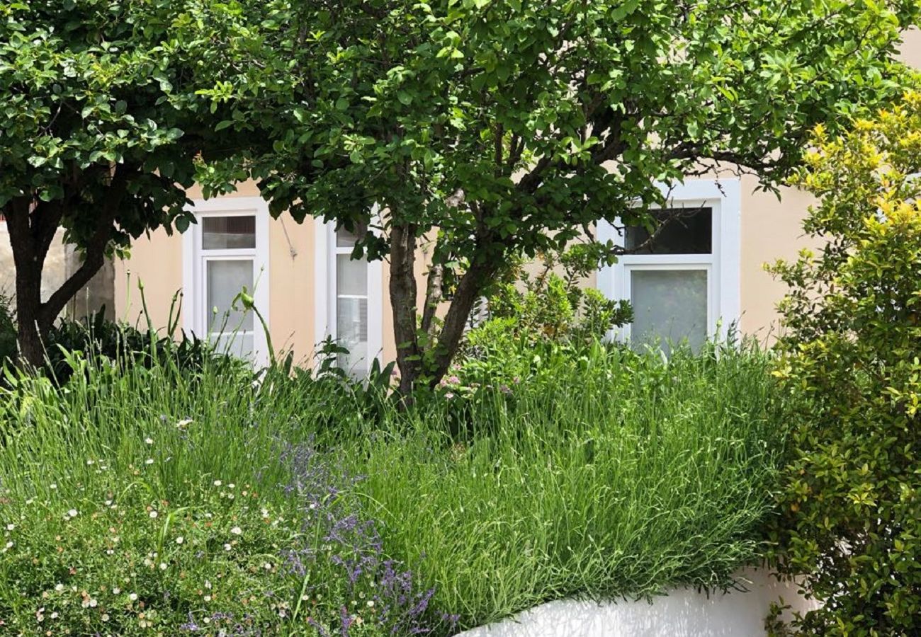Studio in Lisbon - Beautiful Garden Terrace Studio Apartment 29 by Lisbonne Collection